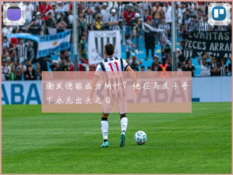 谢泼德能成为纳什？他在乌度卡手下永无出头之日