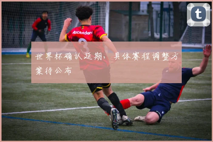 世界杯确认延期,具体赛程调整方案待公布