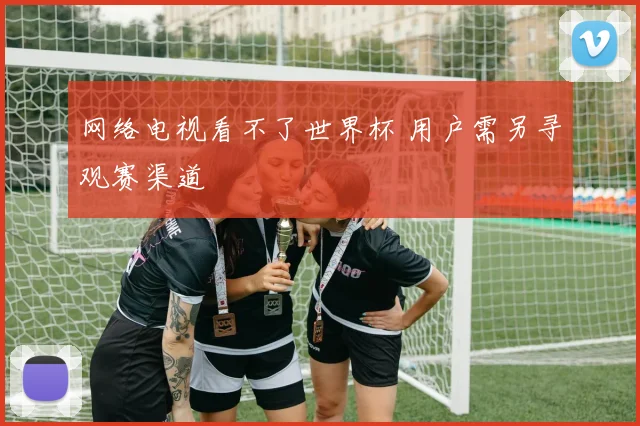 网络电视看不了世界杯 用户需另寻观赛渠道