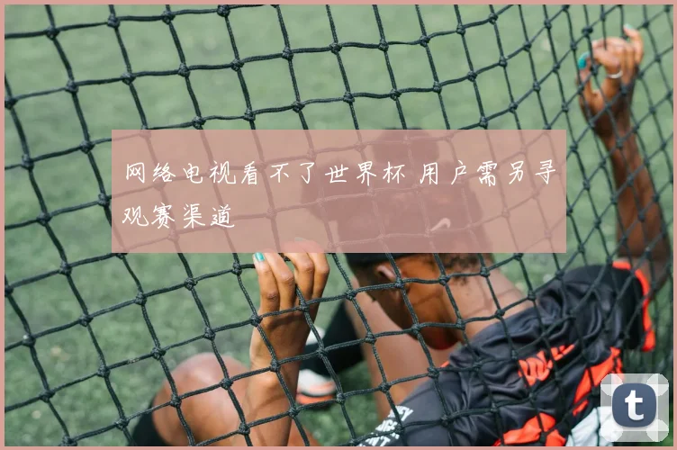 网络电视看不了世界杯 用户需另寻观赛渠道