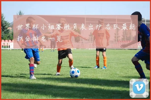 世界杯小组赛胜负表出炉 各队最新积分排名一览